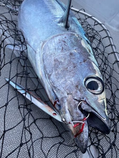 へいみつ丸 釣果