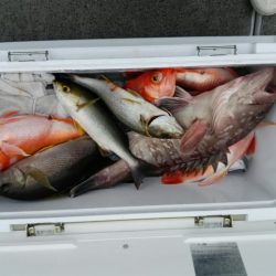 第二大福丸 釣果