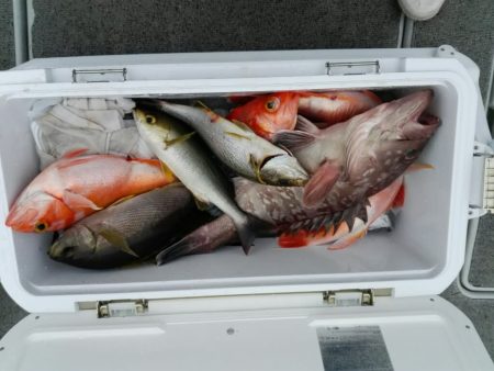 第二大福丸 釣果