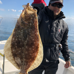 Magic（マジック） 釣果