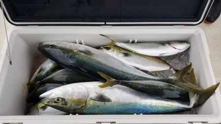 遊漁船 ニライカナイ 釣果