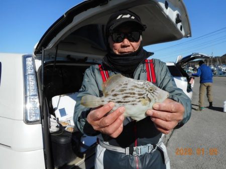 館山つりセンターくろしお丸 釣果