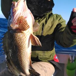 遊漁船 新鋭丸 釣果