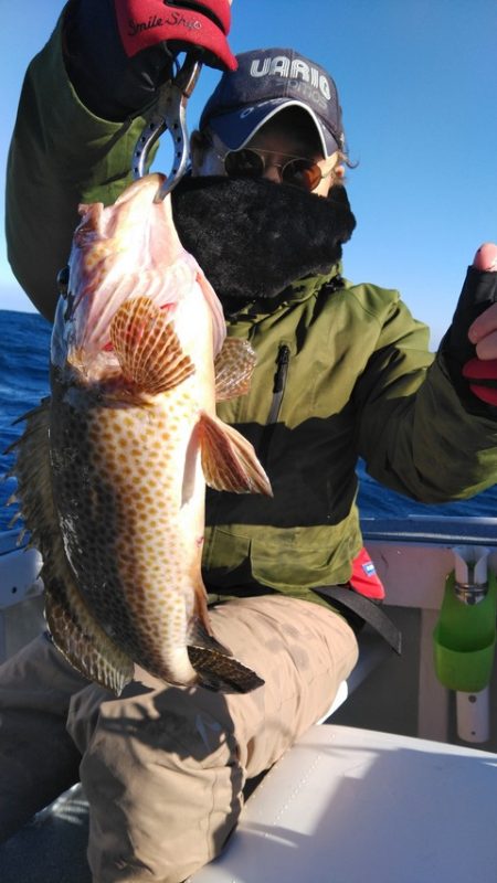 遊漁船 新鋭丸 釣果