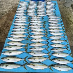 まるいち丸 ZERO-1 釣果