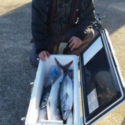 第五慶門丸 釣果