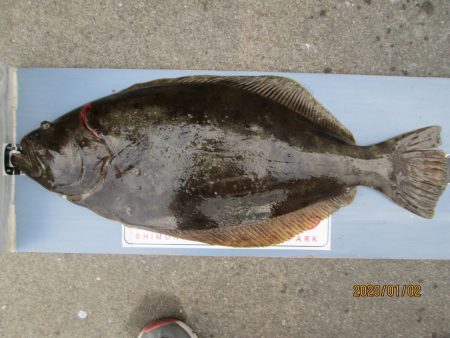 下関フィッシングパーク 釣果