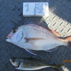 下関フィッシングパーク 釣果