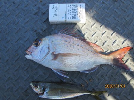 下関フィッシングパーク 釣果