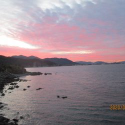 下関フィッシングパーク 釣果