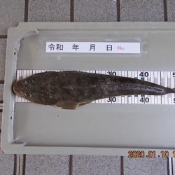 姫路市立遊魚センター 釣果