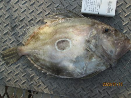 下関フィッシングパーク 釣果