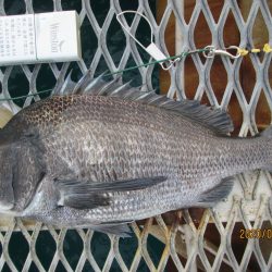 下関フィッシングパーク 釣果