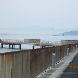 下関フィッシングパーク 釣果