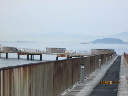 下関フィッシングパーク 釣果