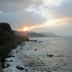 下関フィッシングパーク 釣果