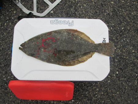 下関フィッシングパーク 釣果