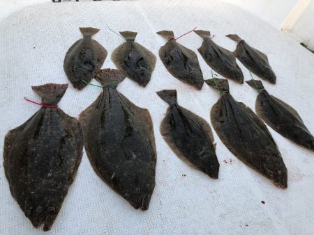 Magic（マジック） 釣果