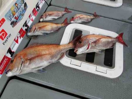 遊漁船 セトマリン 釣果