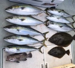 さぶろう丸 釣果
