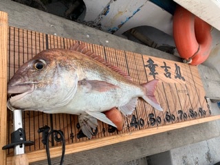 幸吉丸 釣果