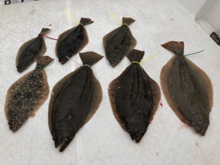 Magic（マジック） 釣果