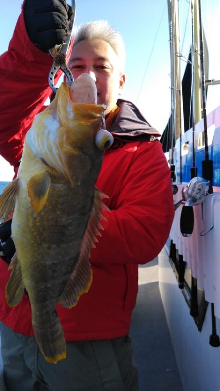 遊漁船 新鋭丸 釣果