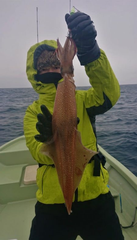 気仙沼　つり丸 釣果