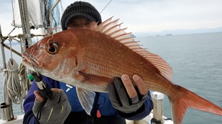 遊漁船　ニライカナイ 釣果