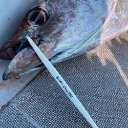 へいみつ丸 釣果