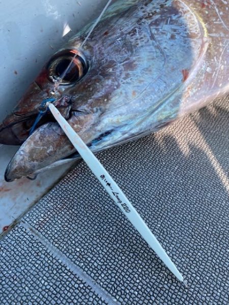 へいみつ丸 釣果