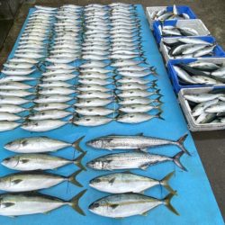 まるいち丸 ZERO-1 釣果