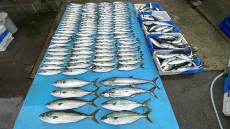 まるいち丸 ZERO-1 釣果