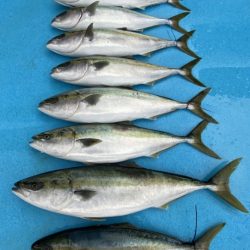 まるいち丸 ZERO-1 釣果