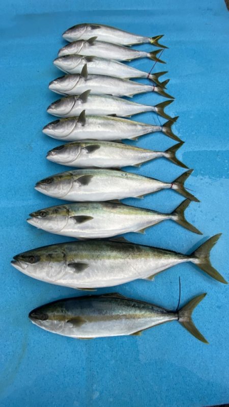 まるいち丸 ZERO-1 釣果