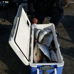 第五慶門丸 釣果