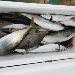 第二むつ漁丸 釣果