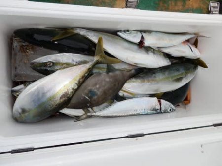 第二むつ漁丸 釣果