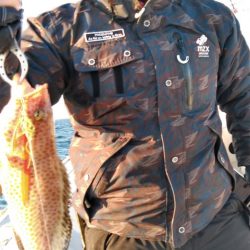 遊漁船 新鋭丸 釣果