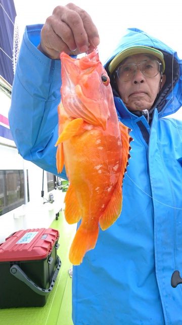 松栄丸 釣果