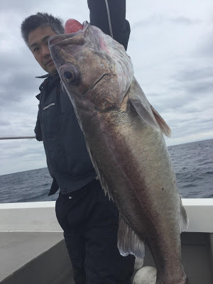 凪紗丸 釣果
