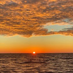 へいみつ丸 釣果