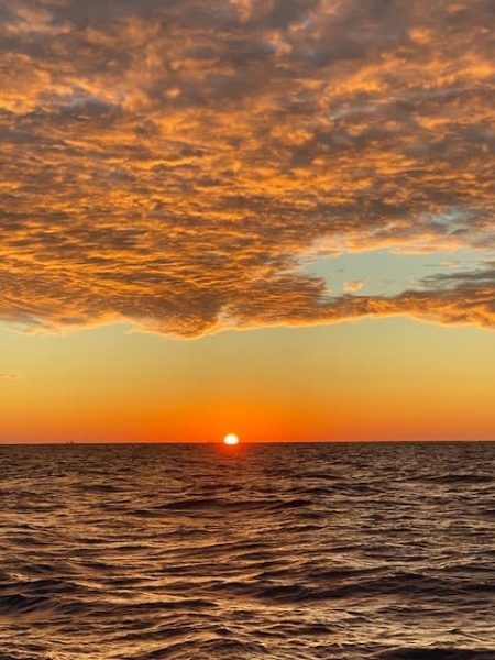 へいみつ丸 釣果