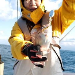 遊漁船 ニライカナイ 釣果