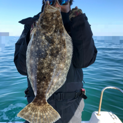 Magic(マジック) 釣果