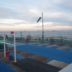 オリジナルメーカー海づり公園(市原市海づり施設) 釣果