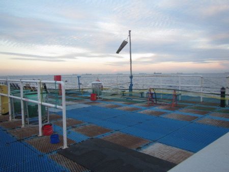 オリジナルメーカー海づり公園(市原市海づり施設) 釣果