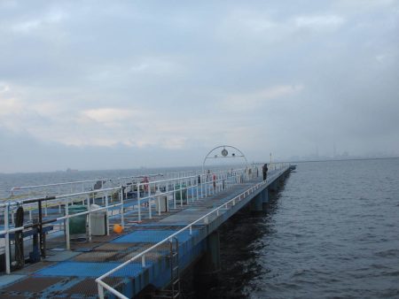 オリジナルメーカー海づり公園(市原市海づり施設) 釣果