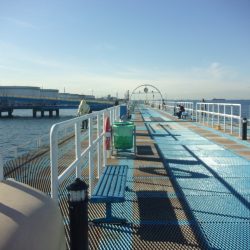 オリジナルメーカー海づり公園(市原市海づり施設) 釣果
