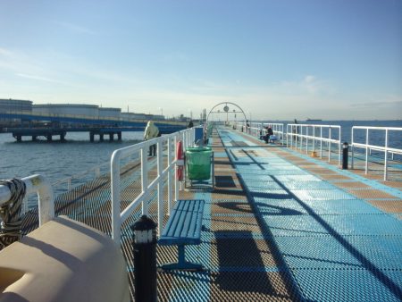 オリジナルメーカー海づり公園(市原市海づり施設) 釣果